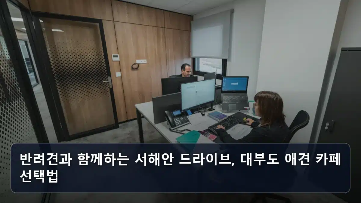 반려견과 함께하는 서해안 드라이브, 대부도 애견 카페 선택법 관련 이미지