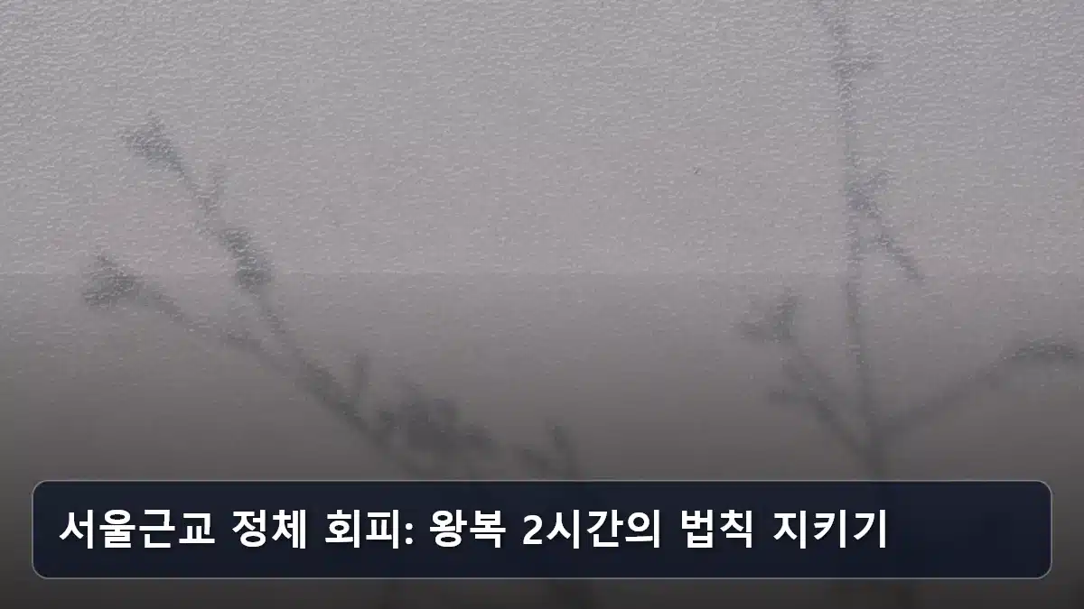 서울근교 정체 회피: 왕복 2시간의 법칙 지키기 관련 이미지