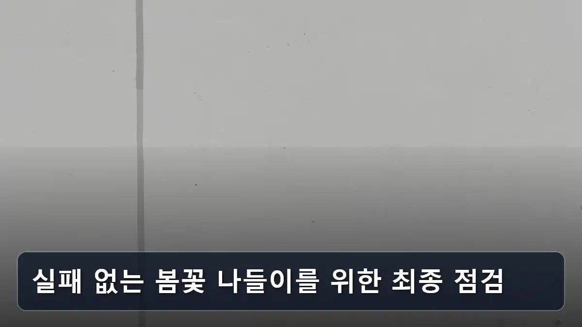 실패 없는 봄꽃 나들이를 위한 최종 점검 관련 이미지