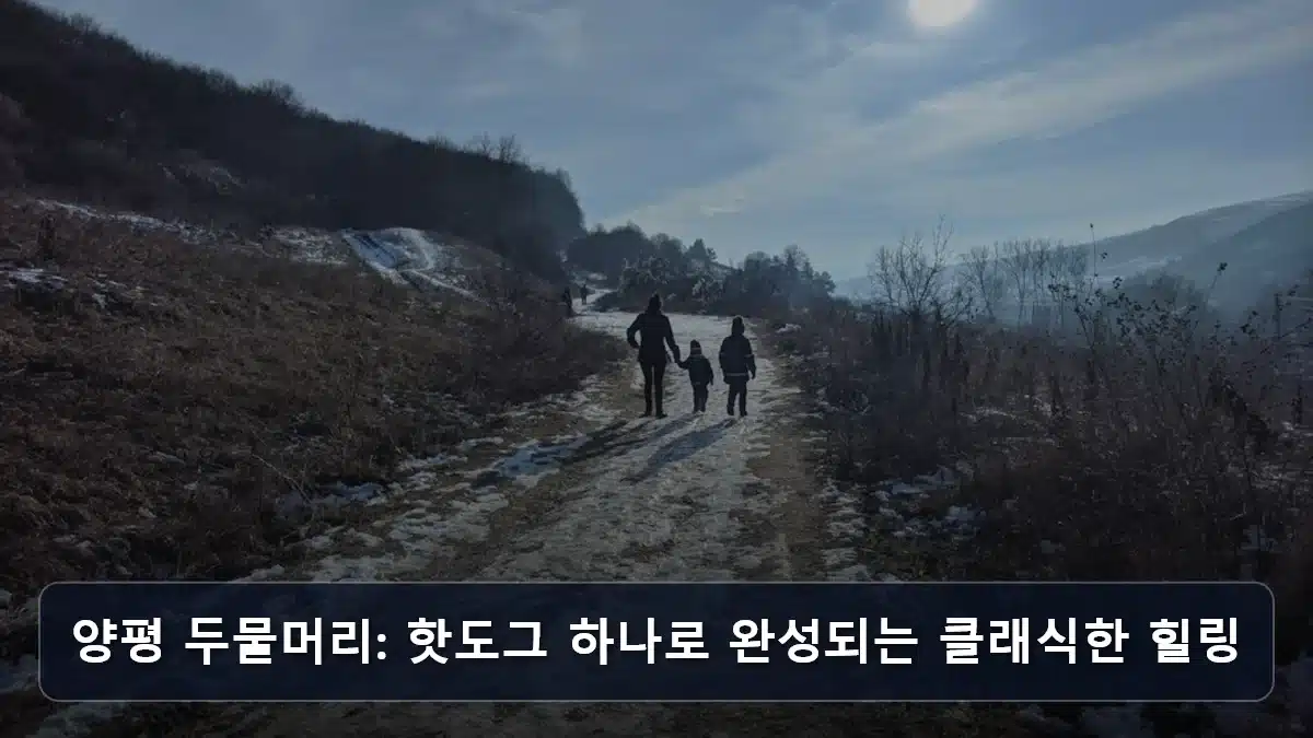 양평 두물머리: 핫도그 하나로 완성되는 클래식한 힐링 관련 이미지