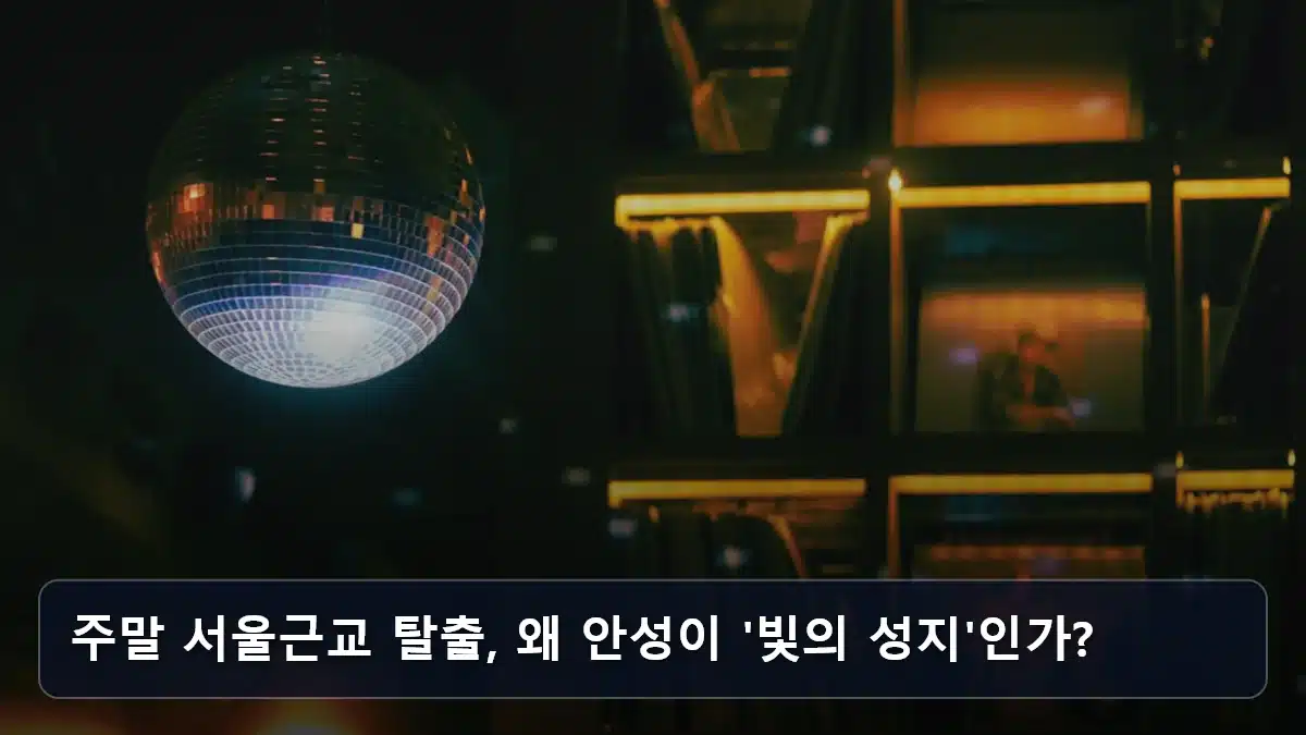 주말 서울근교 탈출, 왜 안성이 '빛의 성지'인가? 관련 이미지