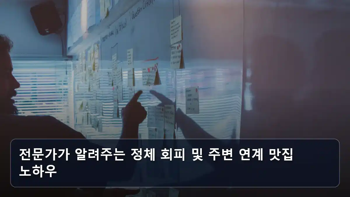 전문가가 알려주는 정체 회피 및 주변 연계 맛집 노하우 관련 이미지