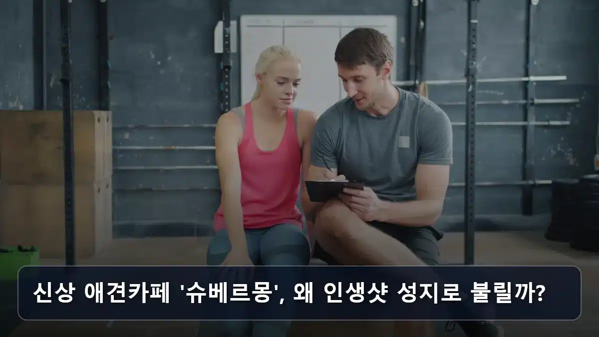 신상 애견카페 '슈베르몽', 왜 인생샷 성지로 불릴까? 관련 이미지