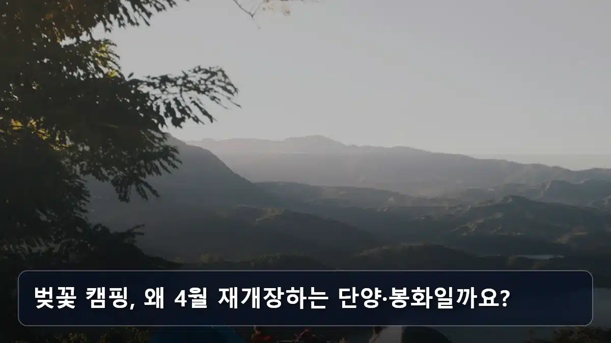 벚꽃 캠핑, 왜 4월 재개장하는 단양·봉화일까요? 관련 이미지