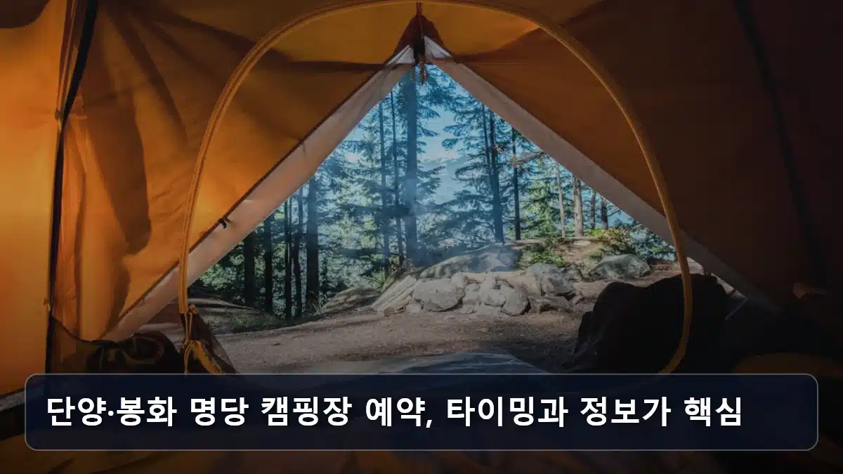 단양·봉화 명당 캠핑장 예약, 타이밍과 정보가 핵심 관련 이미지