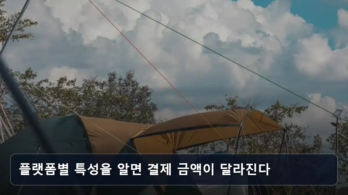 플랫폼별 특성을 알면 결제 금액이 달라진다 관련 이미지