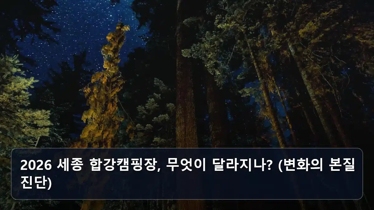 2026 세종 합강캠핑장, 무엇이 달라지나? (변화의 본질 진단) 관련 이미지