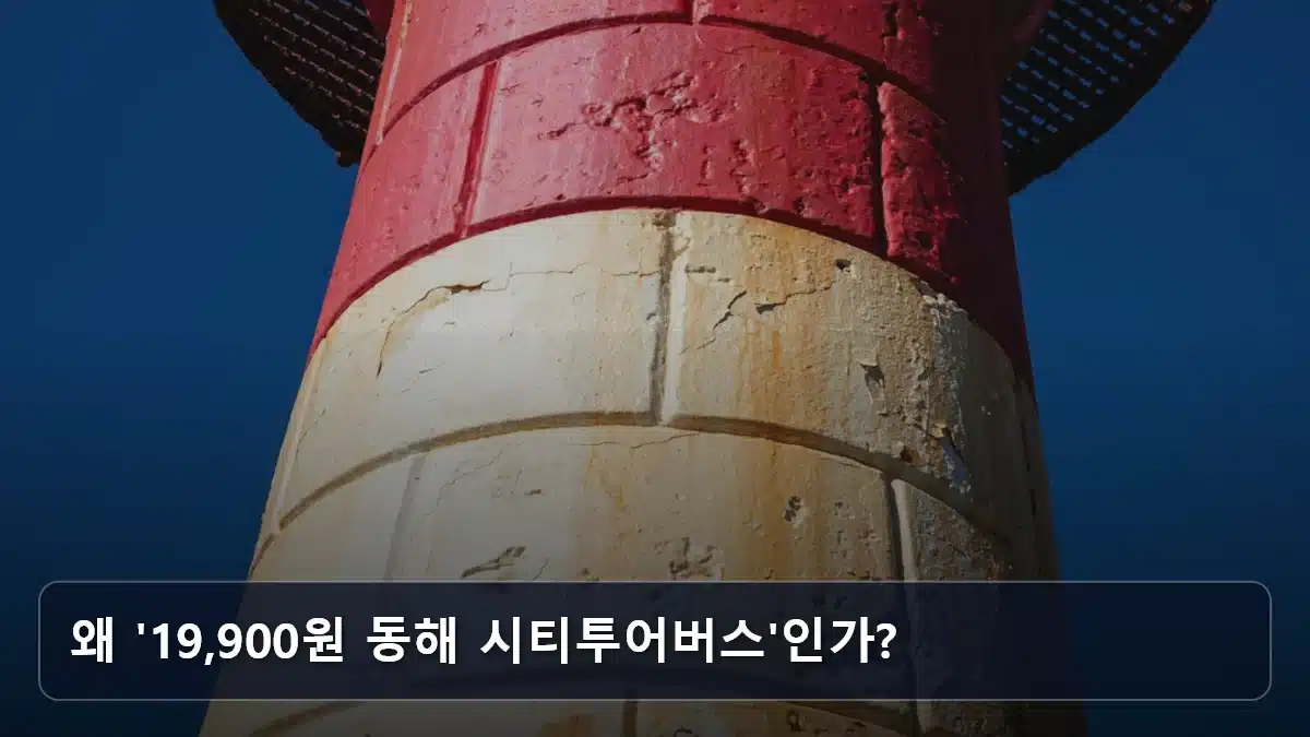 왜 '19,900원 동해 시티투어버스'인가? 관련 이미지