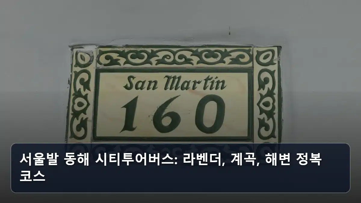 서울발 동해 시티투어버스: 라벤더, 계곡, 해변 정복 코스 관련 이미지