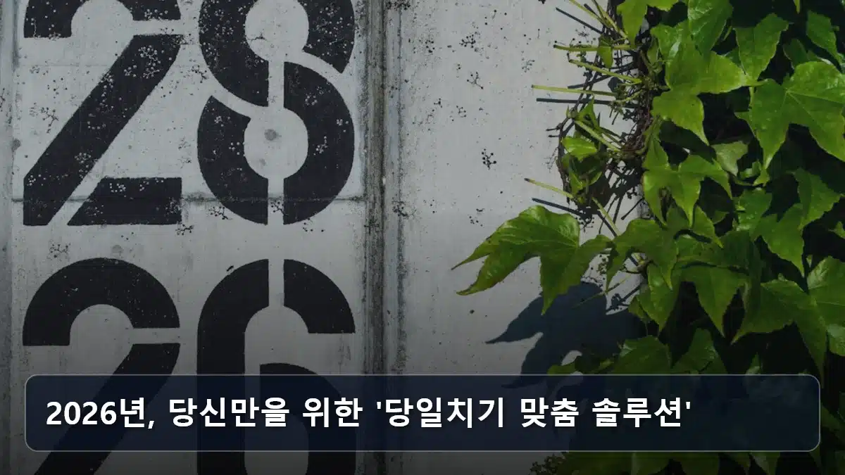 2026년, 당신만을 위한 '당일치기 맞춤 솔루션' 관련 이미지