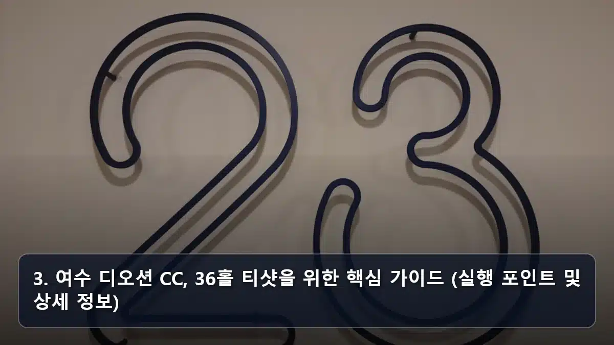 3. 여수 디오션 CC, 36홀 티샷을 위한 핵심 가이드 (실행 포인트 및 상세 정보) 관련 이미지