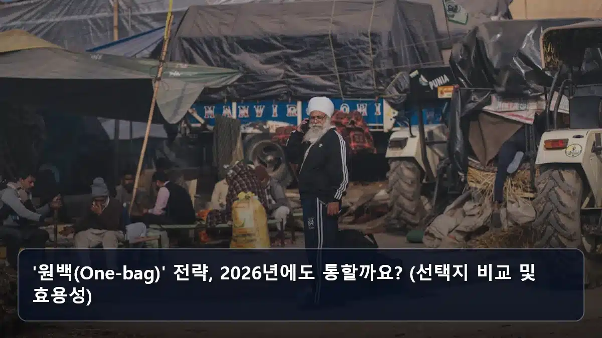 '원백(One-bag)' 전략, 2026년에도 통할까요? (선택지 비교 및 효용성) 관련 이미지