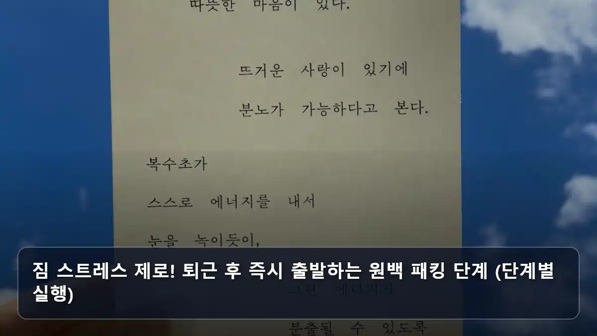 짐 스트레스 제로! 퇴근 후 즉시 출발하는 원백 패킹 단계 (단계별 실행) 관련 이미지