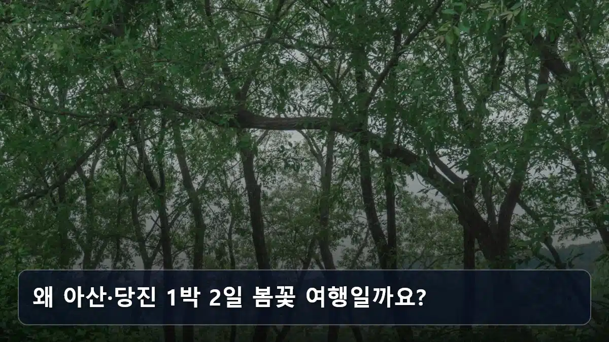 왜 아산·당진 1박 2일 봄꽃 여행일까요? 관련 이미지