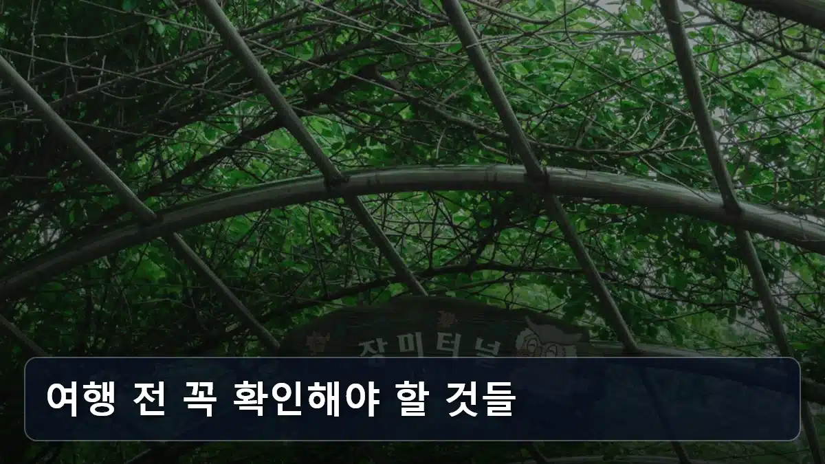 여행 전 꼭 확인해야 할 것들 관련 이미지