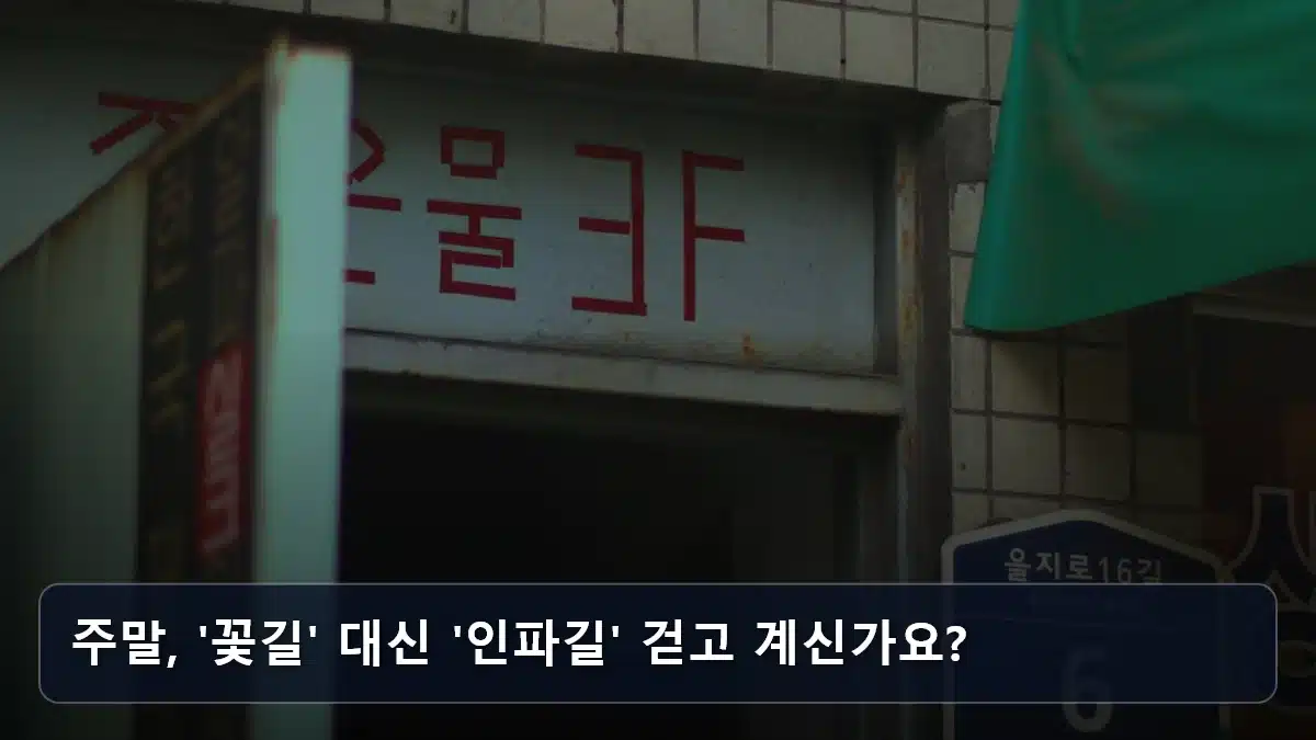 주말, '꽃길' 대신 '인파길' 걷고 계신가요? 관련 이미지