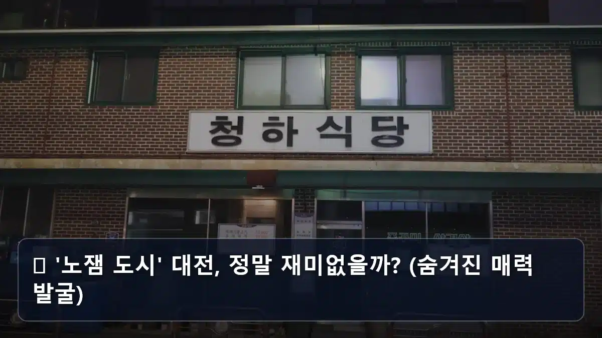 🤔 '노잼 도시' 대전, 정말 재미없을까? (숨겨진 매력 발굴) 관련 이미지