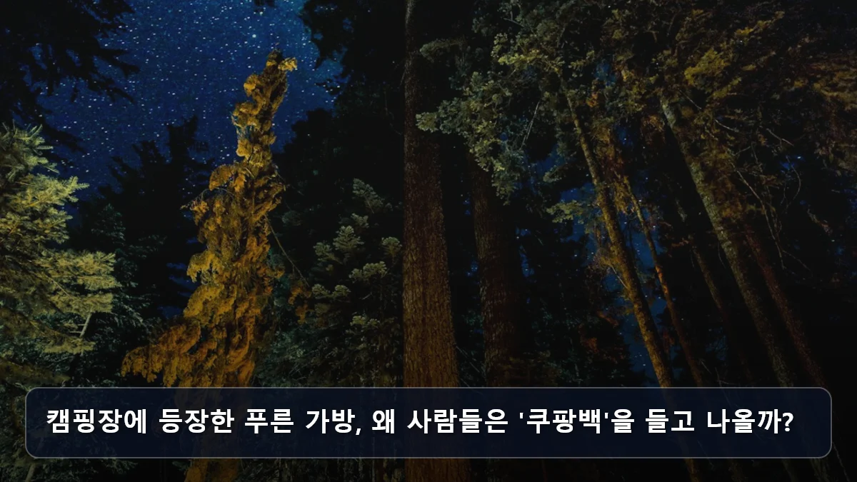 캠핑장에 등장한 푸른 가방, 왜 사람들은 '쿠팡백'을 들고 나올까? 관련 이미지