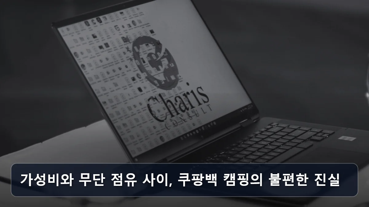 가성비와 무단 점유 사이, 쿠팡백 캠핑의 불편한 진실 관련 이미지
