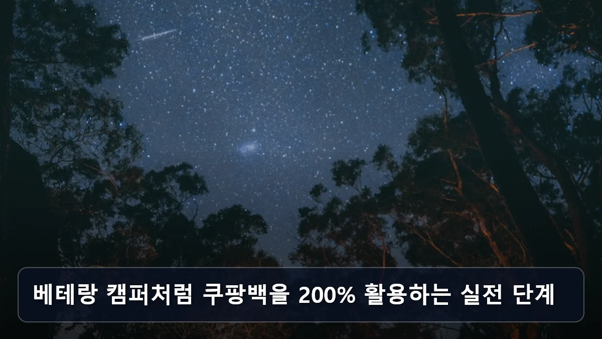 베테랑 캠퍼처럼 쿠팡백을 200% 활용하는 실전 단계 관련 이미지