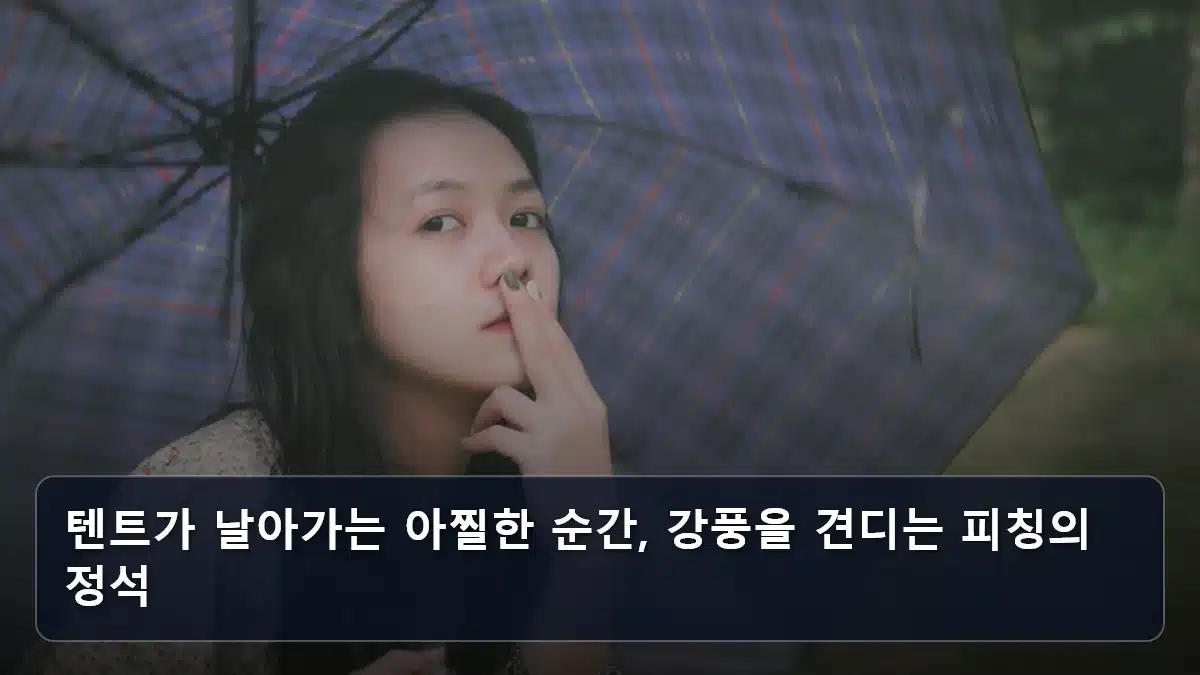 텐트가 날아가는 아찔한 순간, 강풍을 견디는 피칭의 정석 관련 이미지