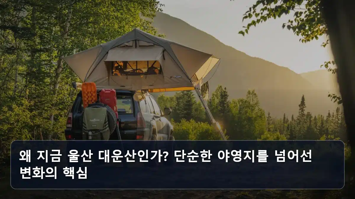 왜 지금 울산 대운산인가? 단순한 야영지를 넘어선 변화의 핵심 관련 이미지
