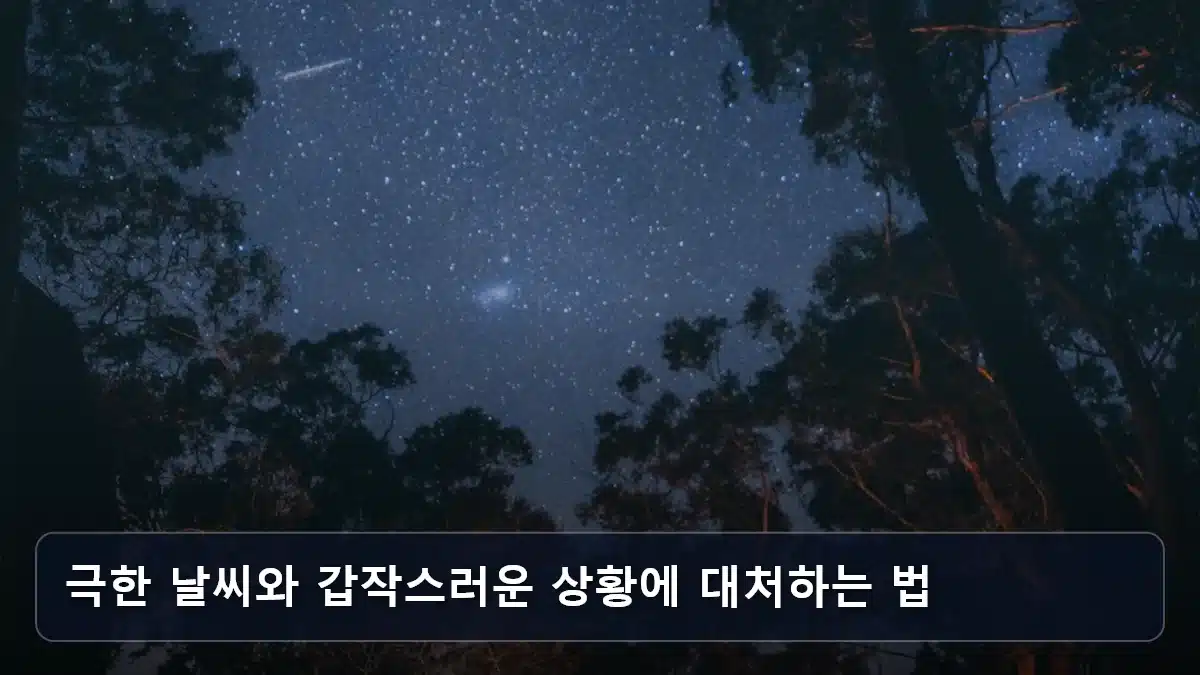 극한 날씨와 갑작스러운 상황에 대처하는 법 관련 이미지