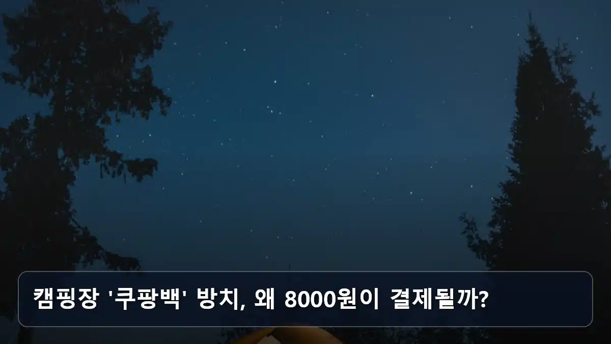 캠핑장 '쿠팡백' 방치, 왜 8000원이 결제될까? 관련 이미지