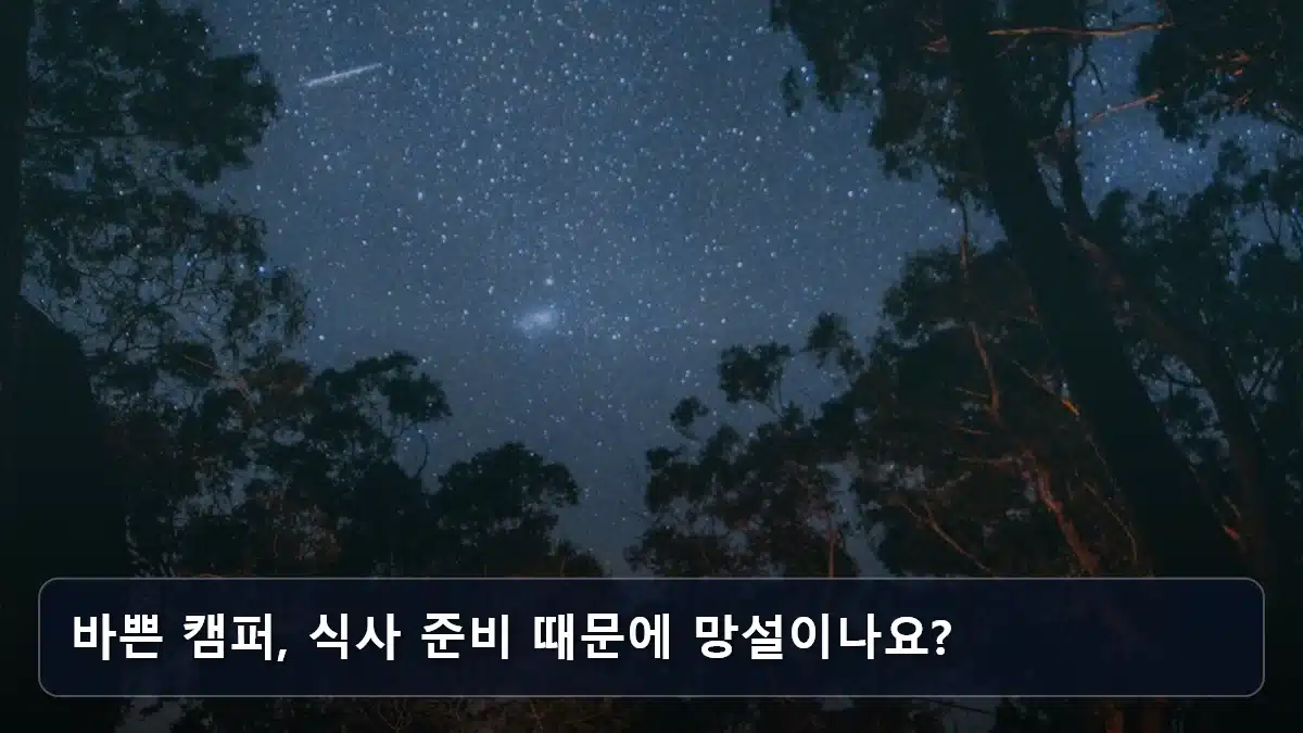 바쁜 캠퍼, 식사 준비 때문에 망설이나요? 관련 이미지