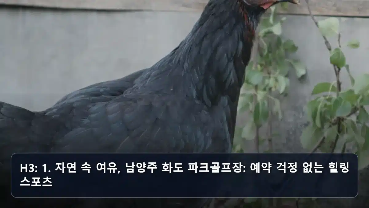 H3: 1. 자연 속 여유, 남양주 화도 파크골프장: 예약 걱정 없는 힐링 스포츠 관련 이미지