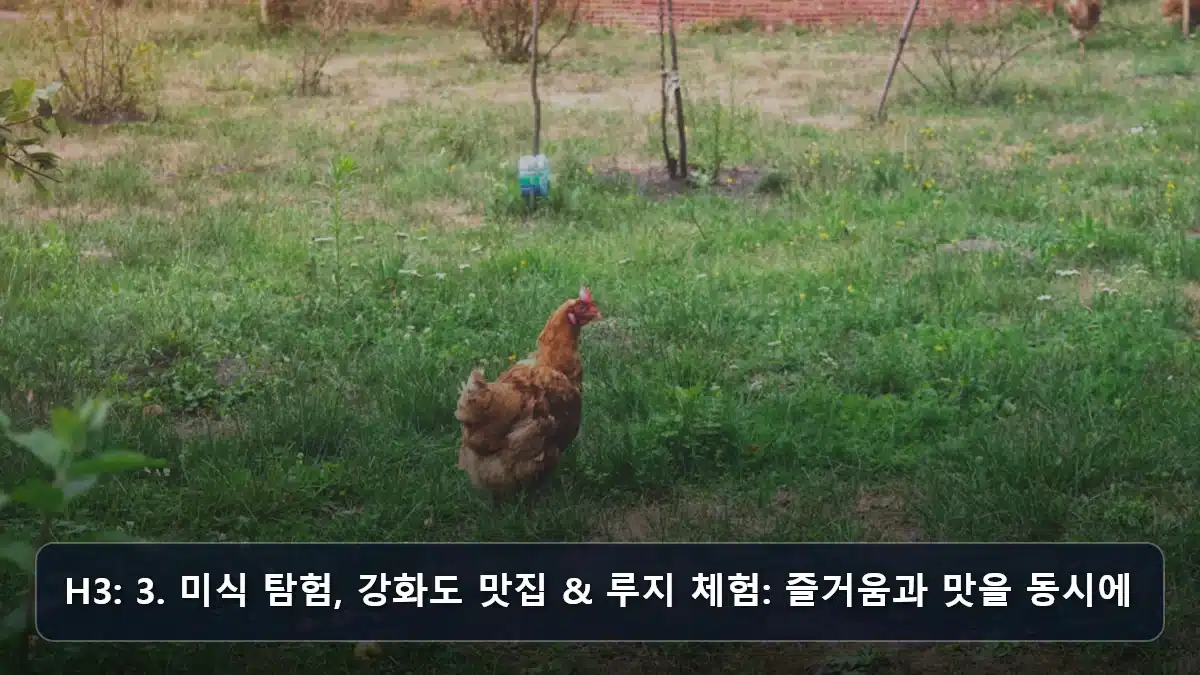 H3: 3. 미식 탐험, 강화도 맛집 & 루지 체험: 즐거움과 맛을 동시에 관련 이미지