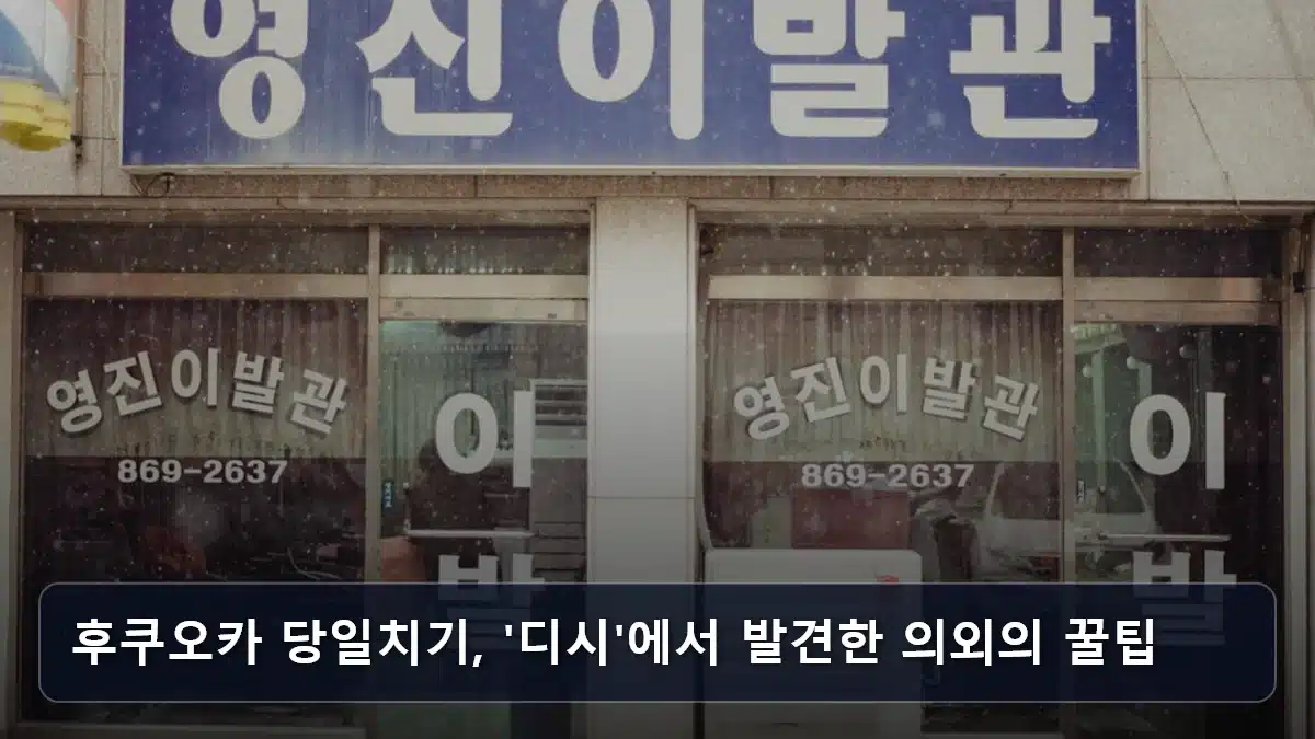 후쿠오카 당일치기, '디시'에서 발견한 의외의 꿀팁 관련 이미지