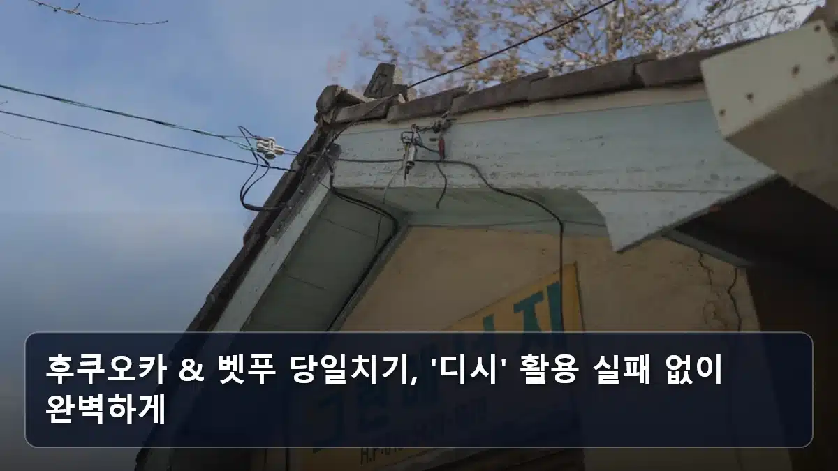 후쿠오카 & 벳푸 당일치기, '디시' 활용 실패 없이 완벽하게 관련 이미지