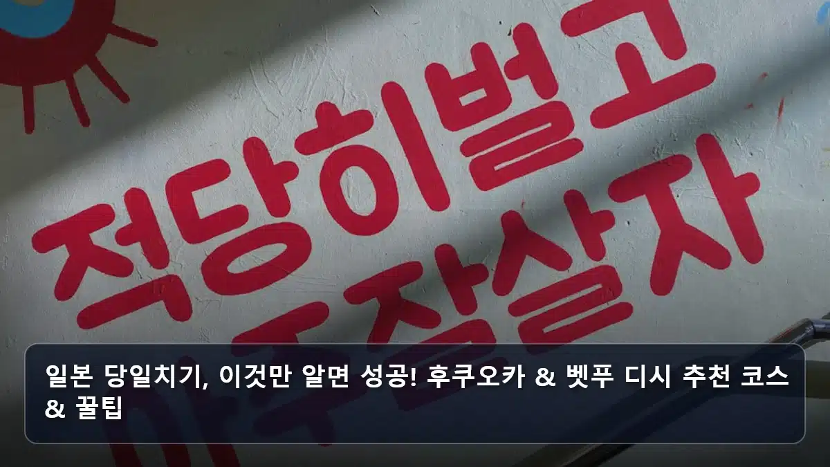 일본 당일치기, 이것만 알면 성공! 후쿠오카 & 벳푸 디시 추천 코스 & 꿀팁 관련 이미지