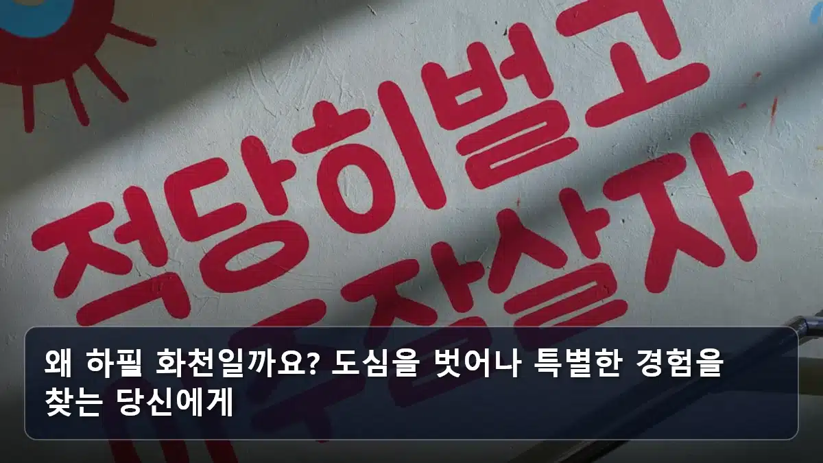 왜 하필 화천일까요? 도심을 벗어나 특별한 경험을 찾는 당신에게 관련 이미지
