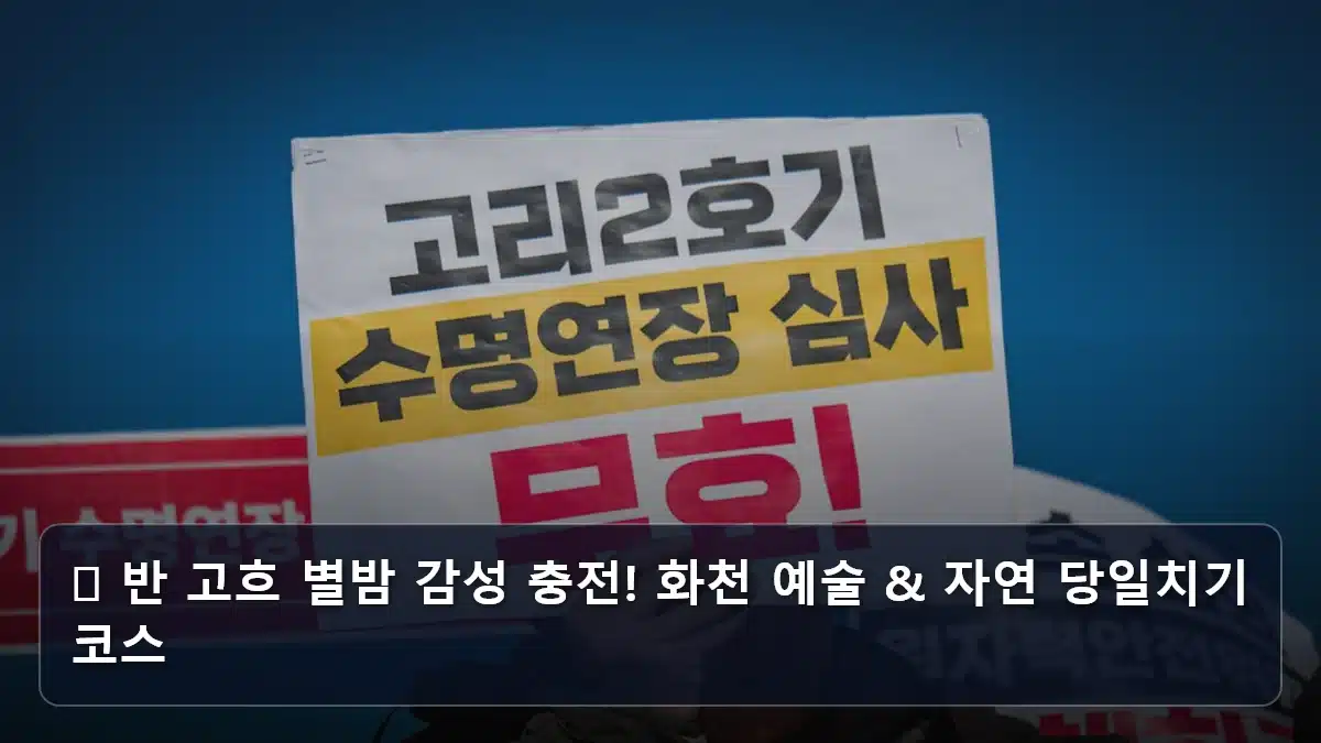 🎨 반 고흐 별밤 감성 충전! 화천 예술 & 자연 당일치기 코스 관련 이미지