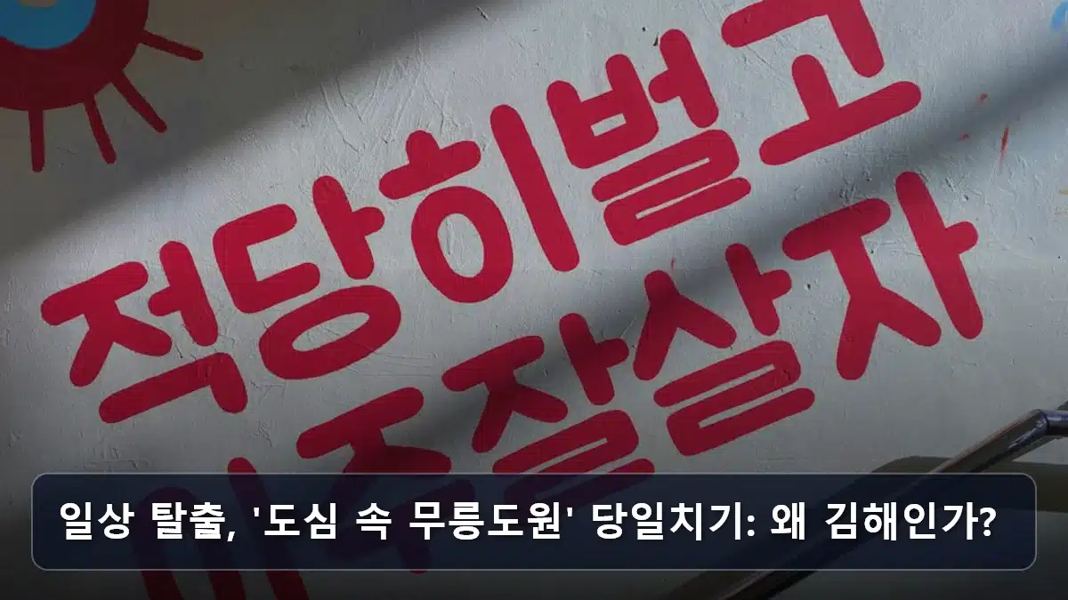 일상 탈출, '도심 속 무릉도원' 당일치기: 왜 김해인가? 관련 이미지