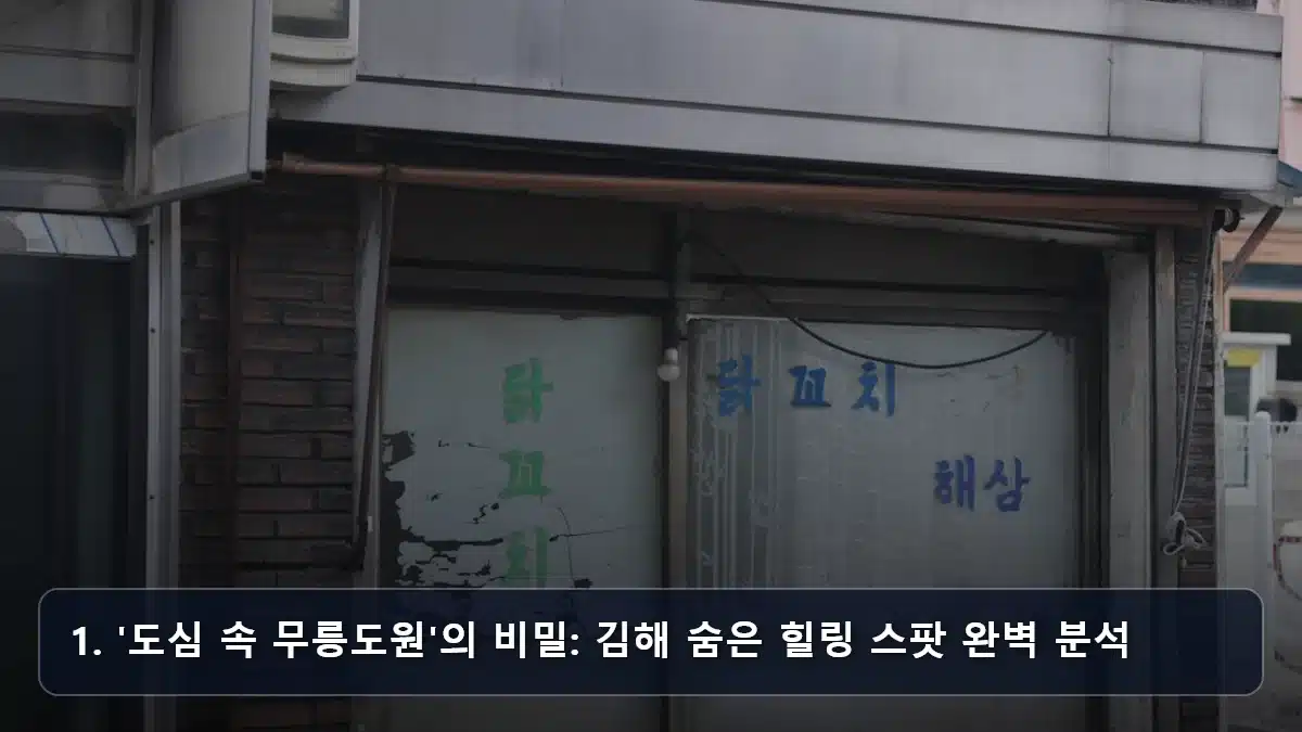 1. '도심 속 무릉도원'의 비밀: 김해 숨은 힐링 스팟 완벽 분석 관련 이미지