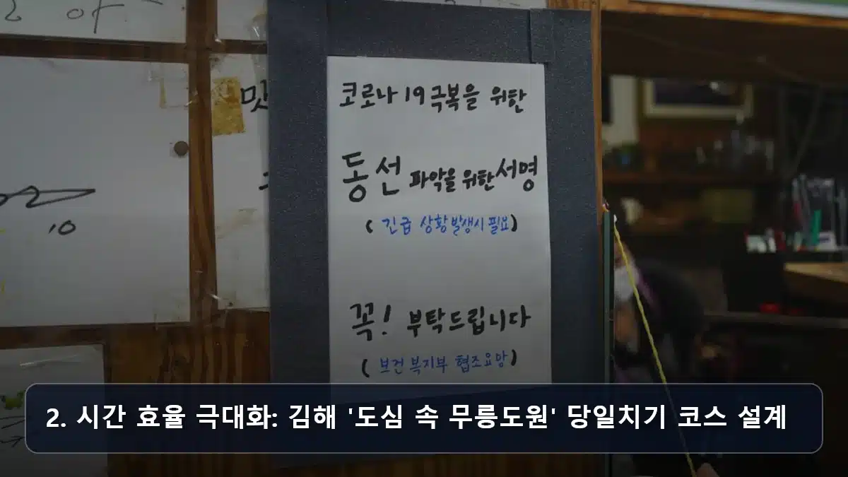 2. 시간 효율 극대화: 김해 '도심 속 무릉도원' 당일치기 코스 설계 관련 이미지