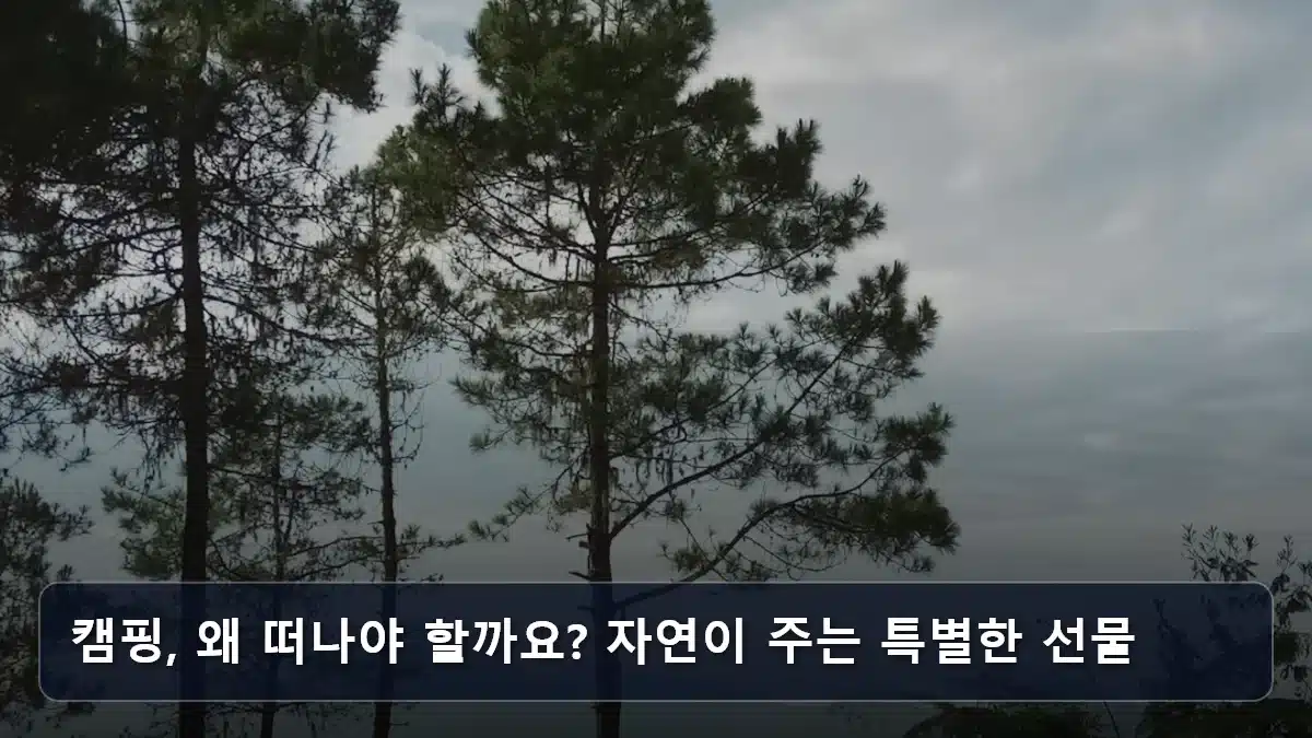 캠핑, 왜 떠나야 할까요? 자연이 주는 특별한 선물 관련 이미지