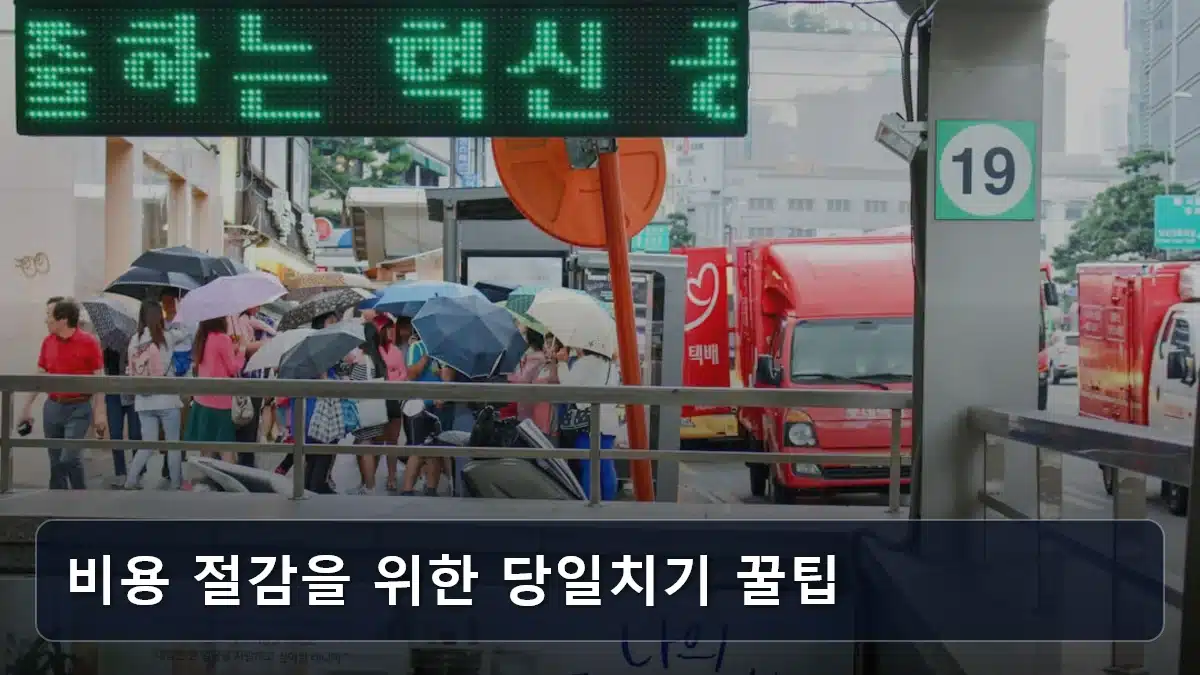 비용 절감을 위한 당일치기 꿀팁 관련 이미지