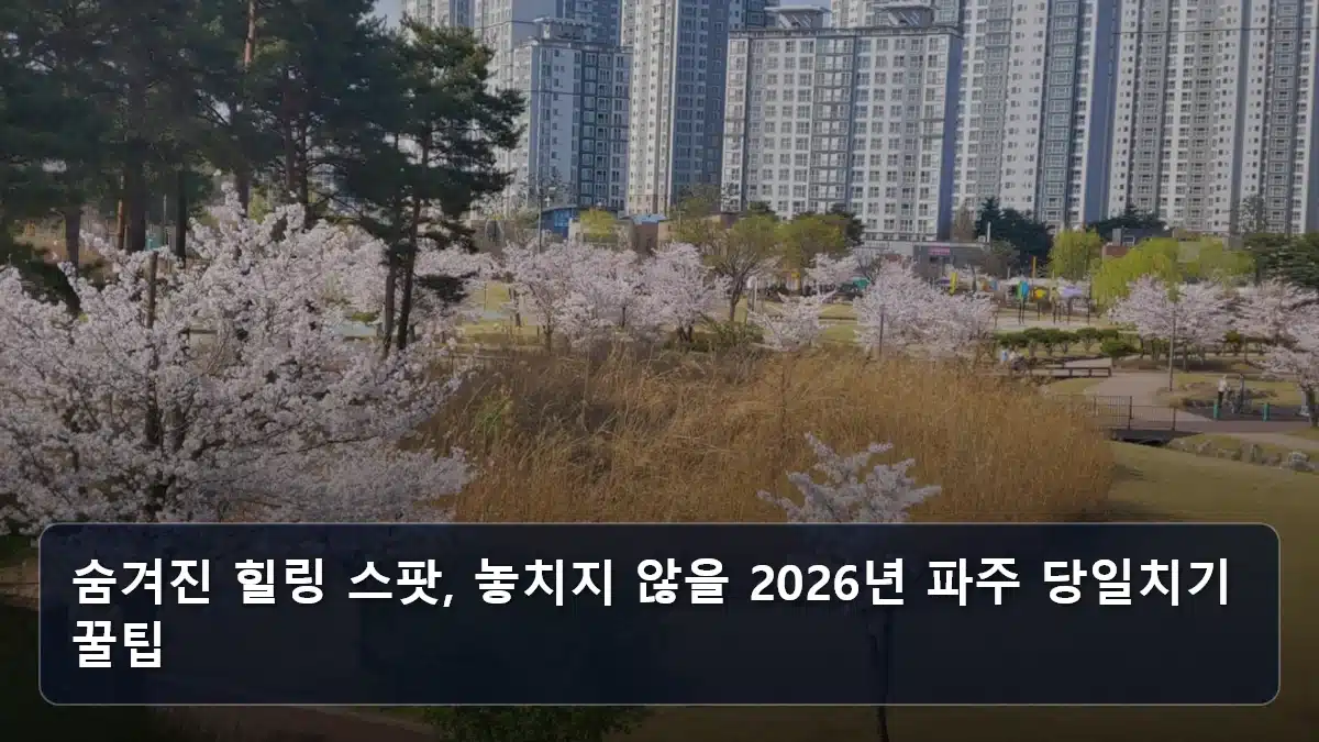 숨겨진 힐링 스팟, 놓치지 않을 2026년 파주 당일치기 꿀팁 관련 이미지