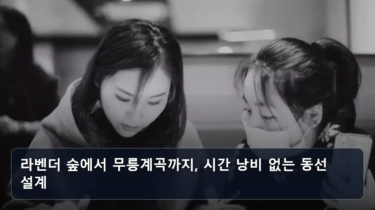 라벤더 숲에서 무릉계곡까지, 시간 낭비 없는 동선 설계 관련 이미지
