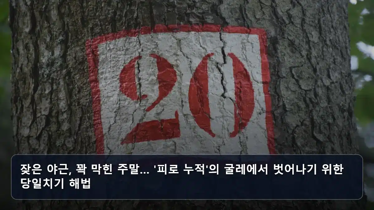 잦은 야근, 꽉 막힌 주말… '피로 누적'의 굴레에서 벗어나기 위한 당일치기 해법 관련 이미지