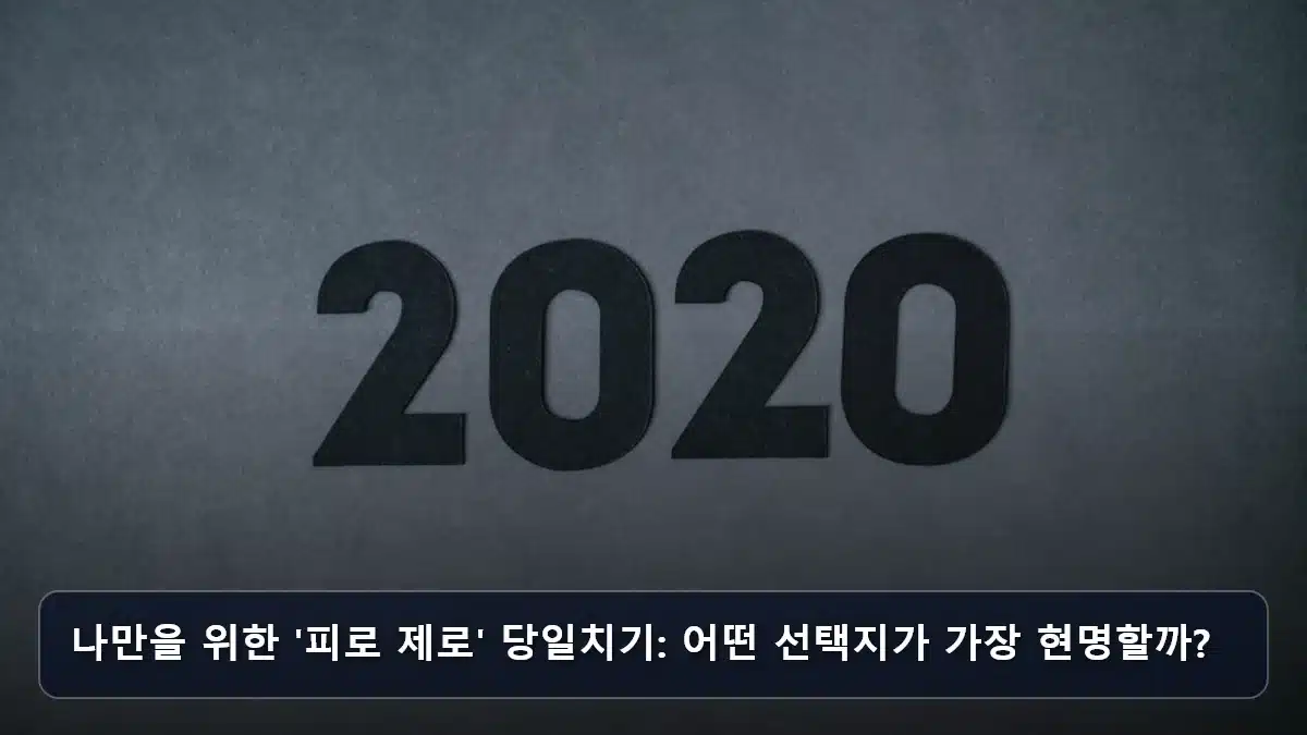 나만을 위한 '피로 제로' 당일치기: 어떤 선택지가 가장 현명할까? 관련 이미지