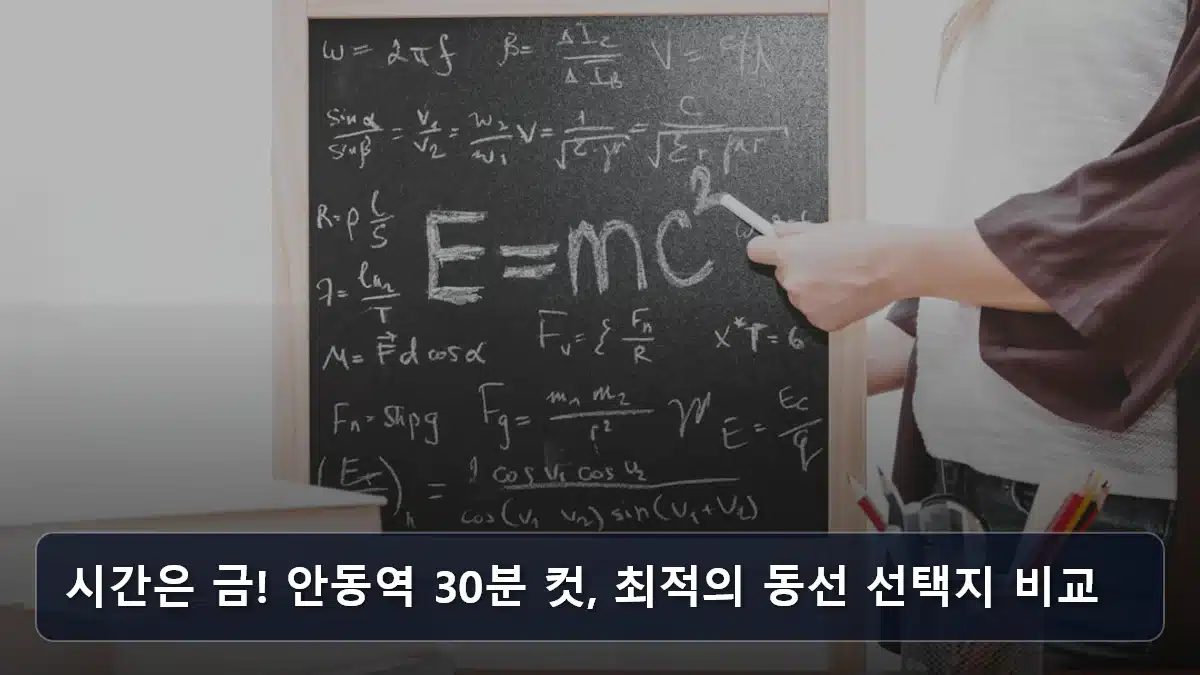 시간은 금! 안동역 30분 컷, 최적의 동선 선택지 비교 관련 이미지