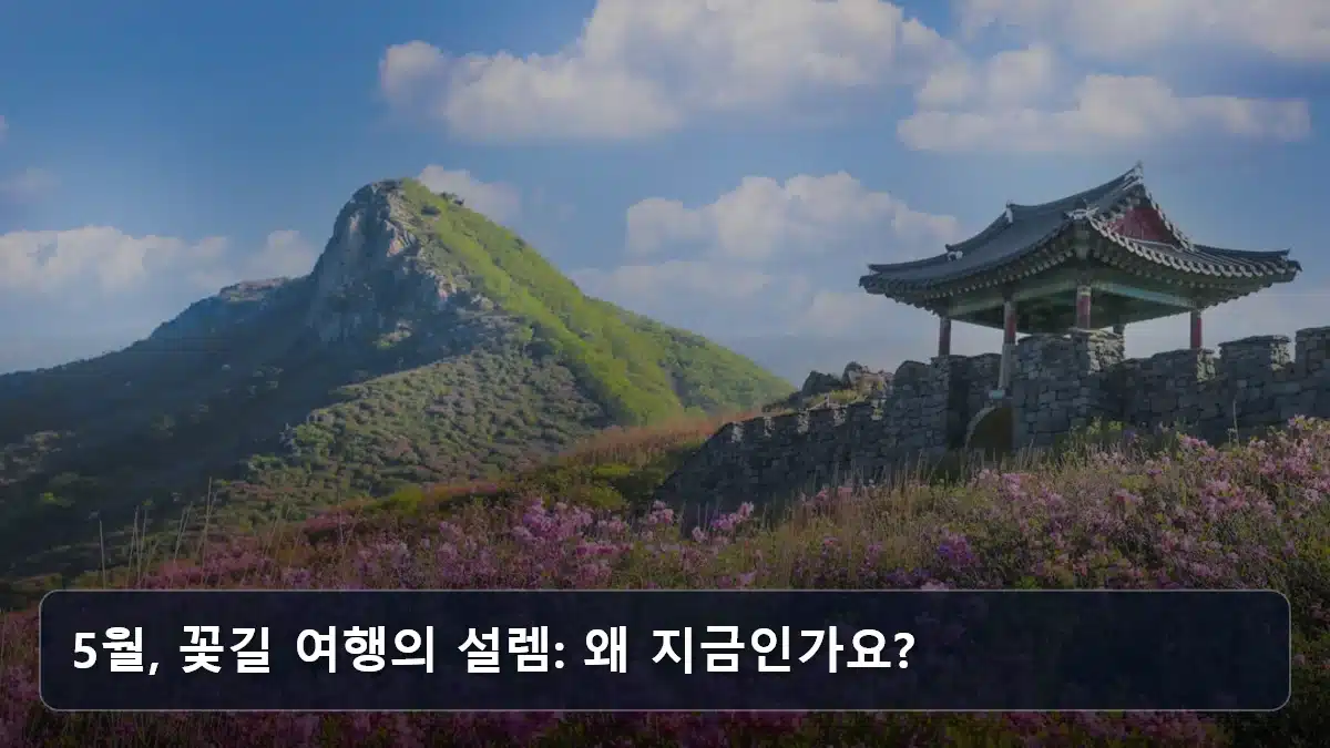 5월, 꽃길 여행의 설렘: 왜 지금인가요? 관련 이미지