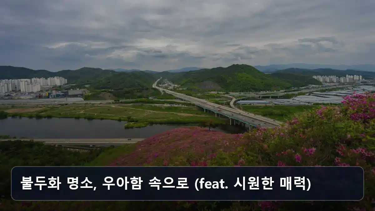 불두화 명소, 우아함 속으로 (feat. 시원한 매력) 관련 이미지