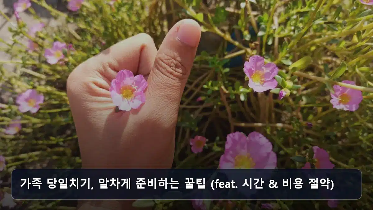 가족 당일치기, 알차게 준비하는 꿀팁 (feat. 시간 & 비용 절약) 관련 이미지