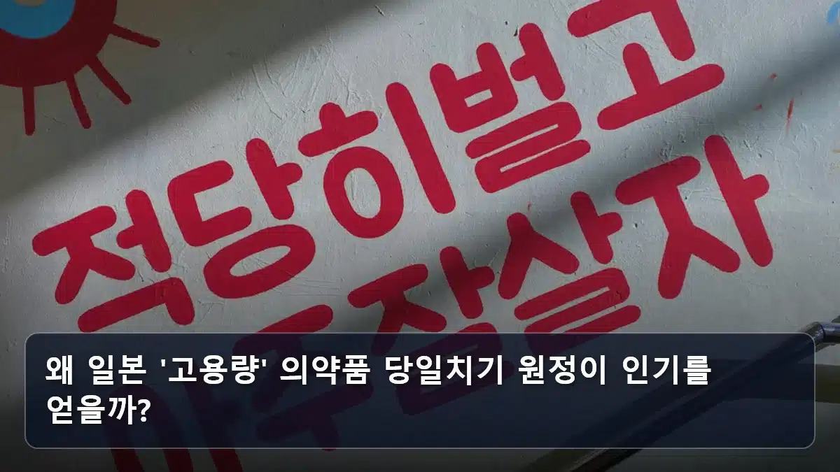 왜 일본 '고용량' 의약품 당일치기 원정이 인기를 얻을까? 관련 이미지